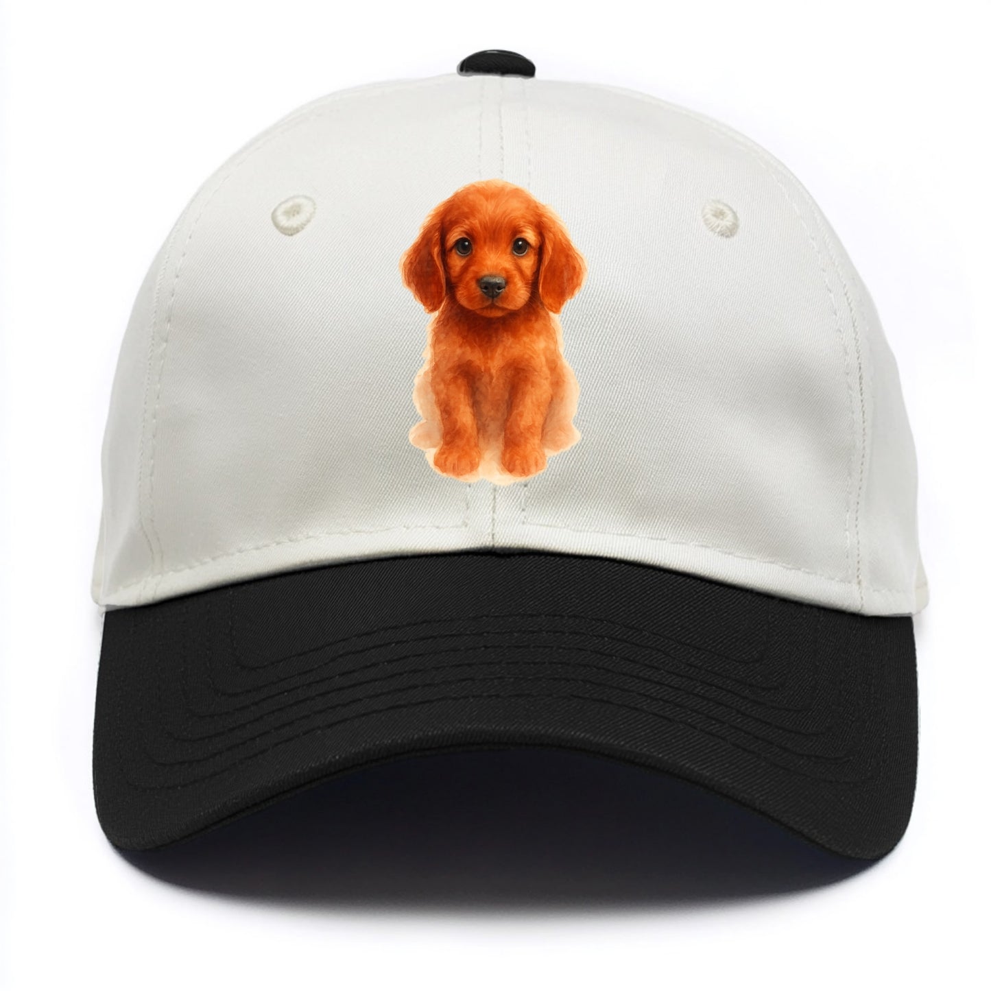 Baby Irish Setter Puppy - mahogany red coat, feathered ears, friendly eyes, - Two Tone Cap - Black
