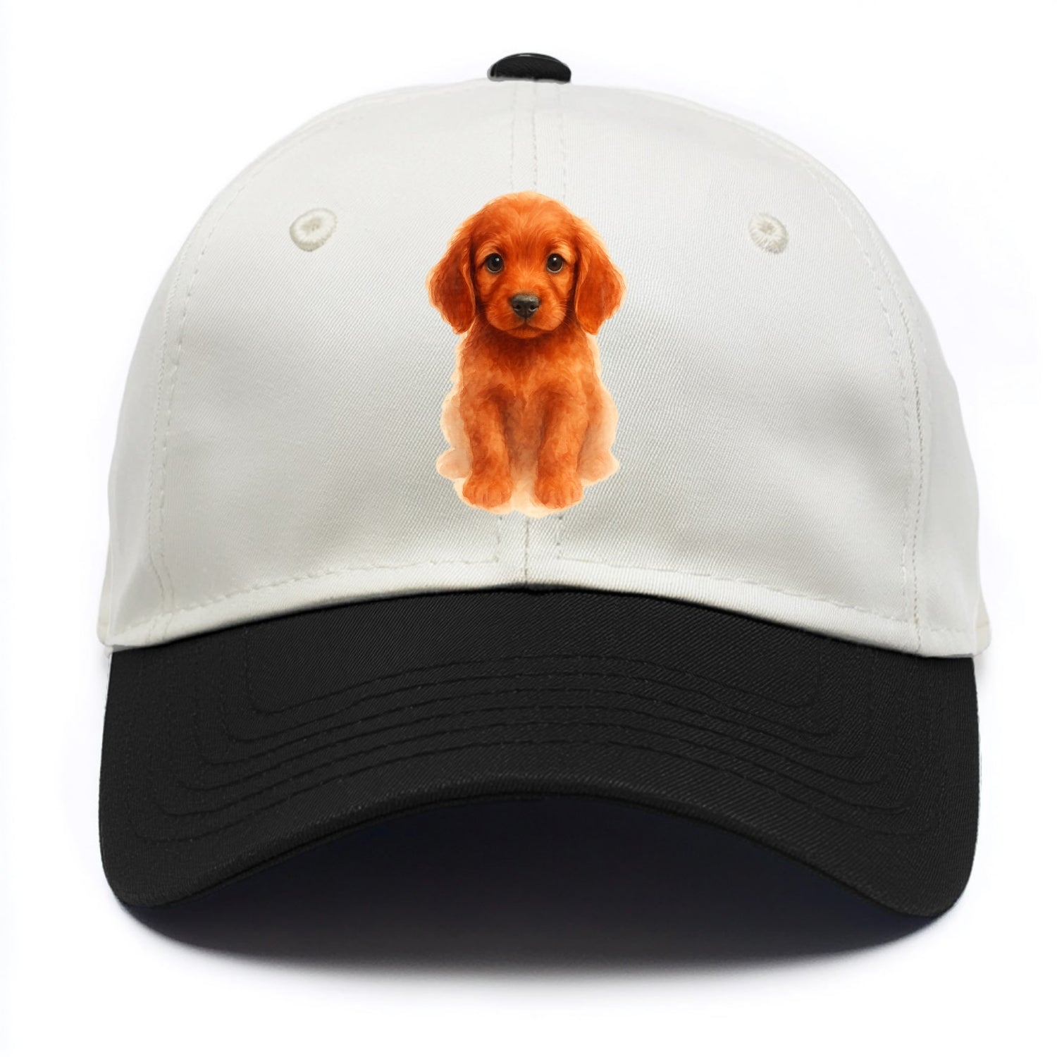 Baby Irish Setter Puppy - mahogany red coat, feathered ears, friendly eyes, - Two Tone Cap - Black