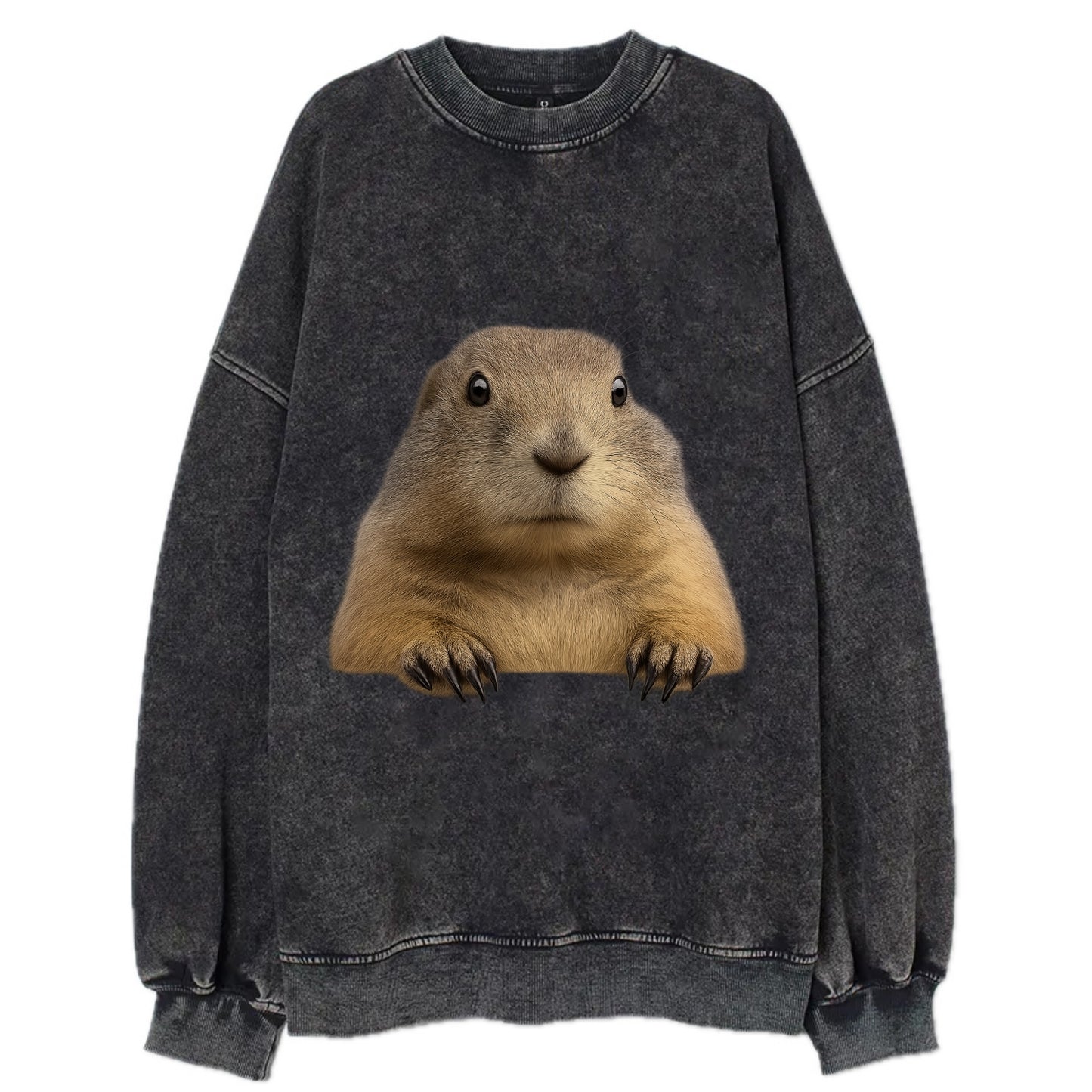 Prairie Dog  - Vintage Sweatshirt - Black