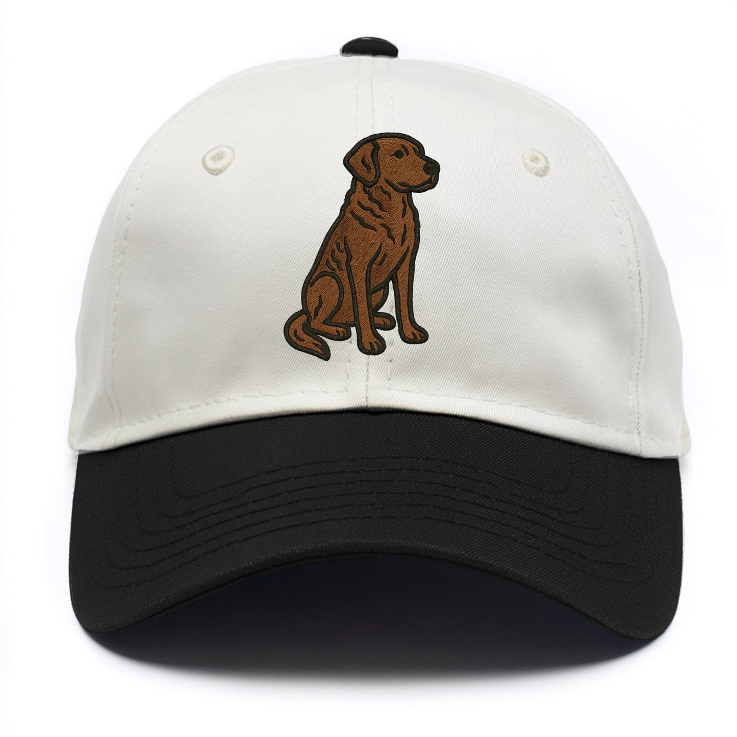 Chesapeake Bay Retriever - Brown wavy coat embroidered sitting pose - Two Tone Cap - Black