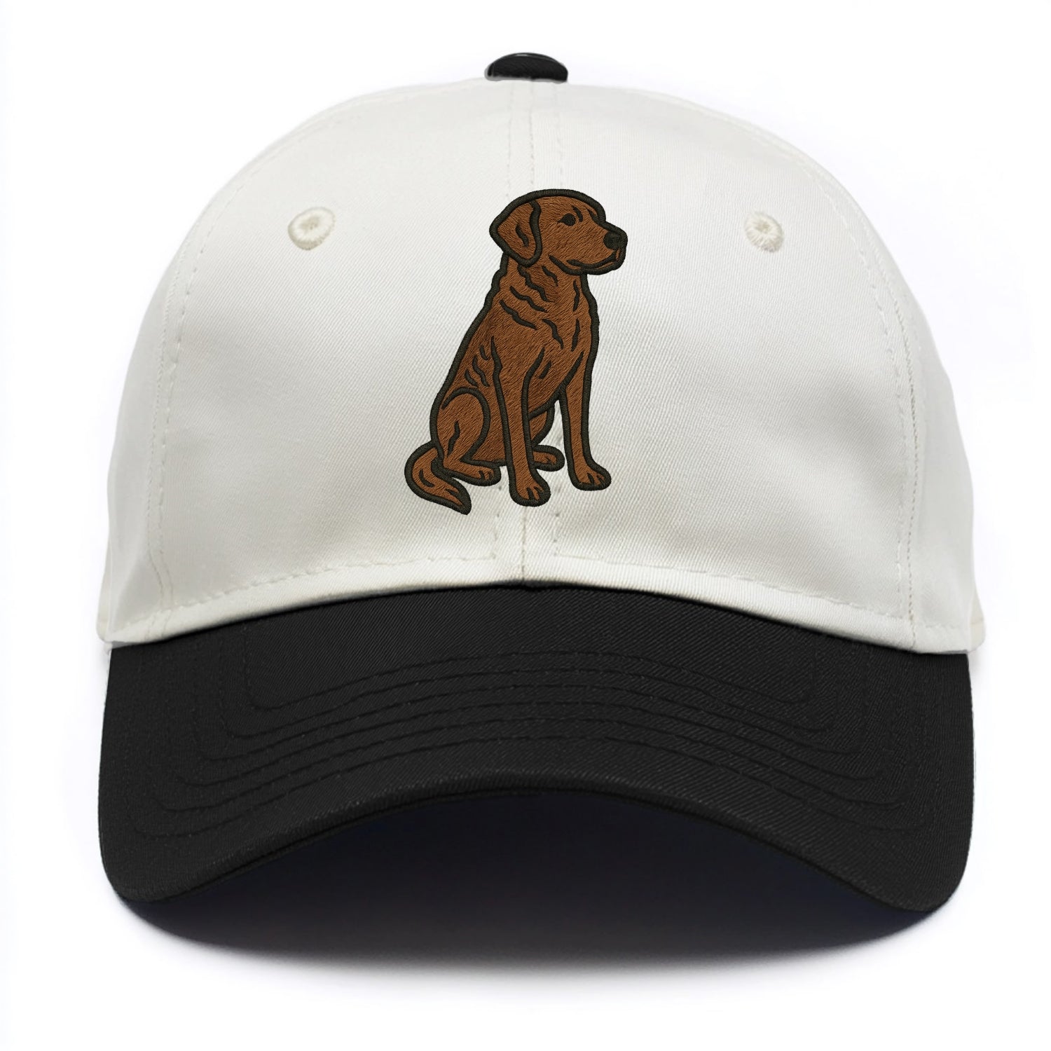 Chesapeake Bay Retriever - Brown wavy coat embroidered sitting pose - Two Tone Cap - Black