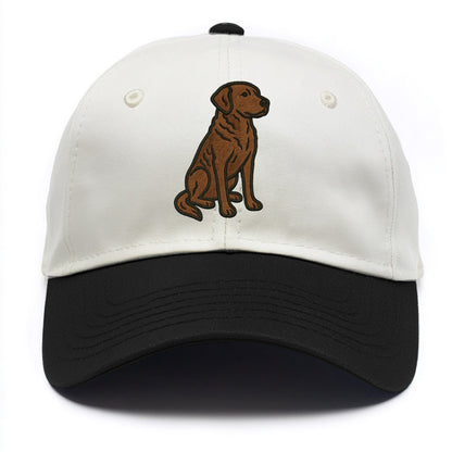 Chesapeake Bay Retriever - Brown wavy coat embroidered sitting pose - Two Tone Cap - Black