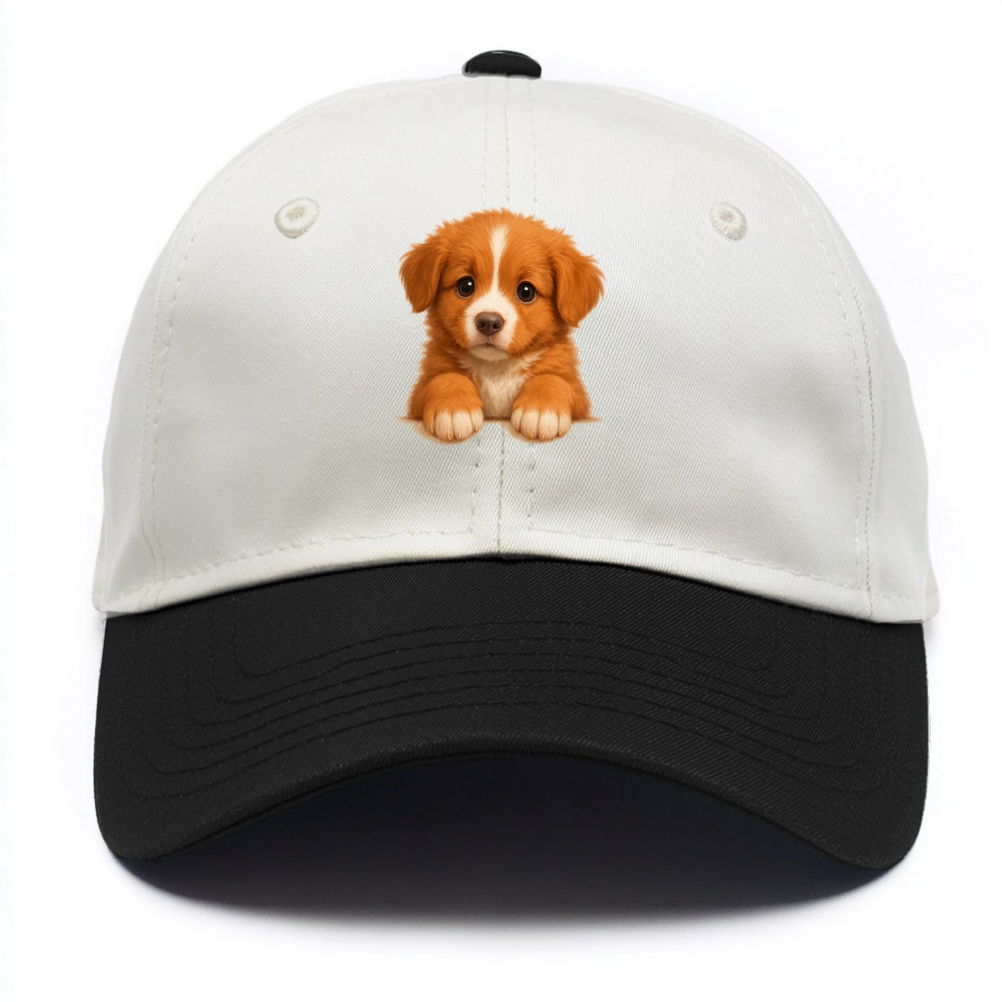 Nova Scotia Duck Tolling Retriever  - Two Tone Cap - Black