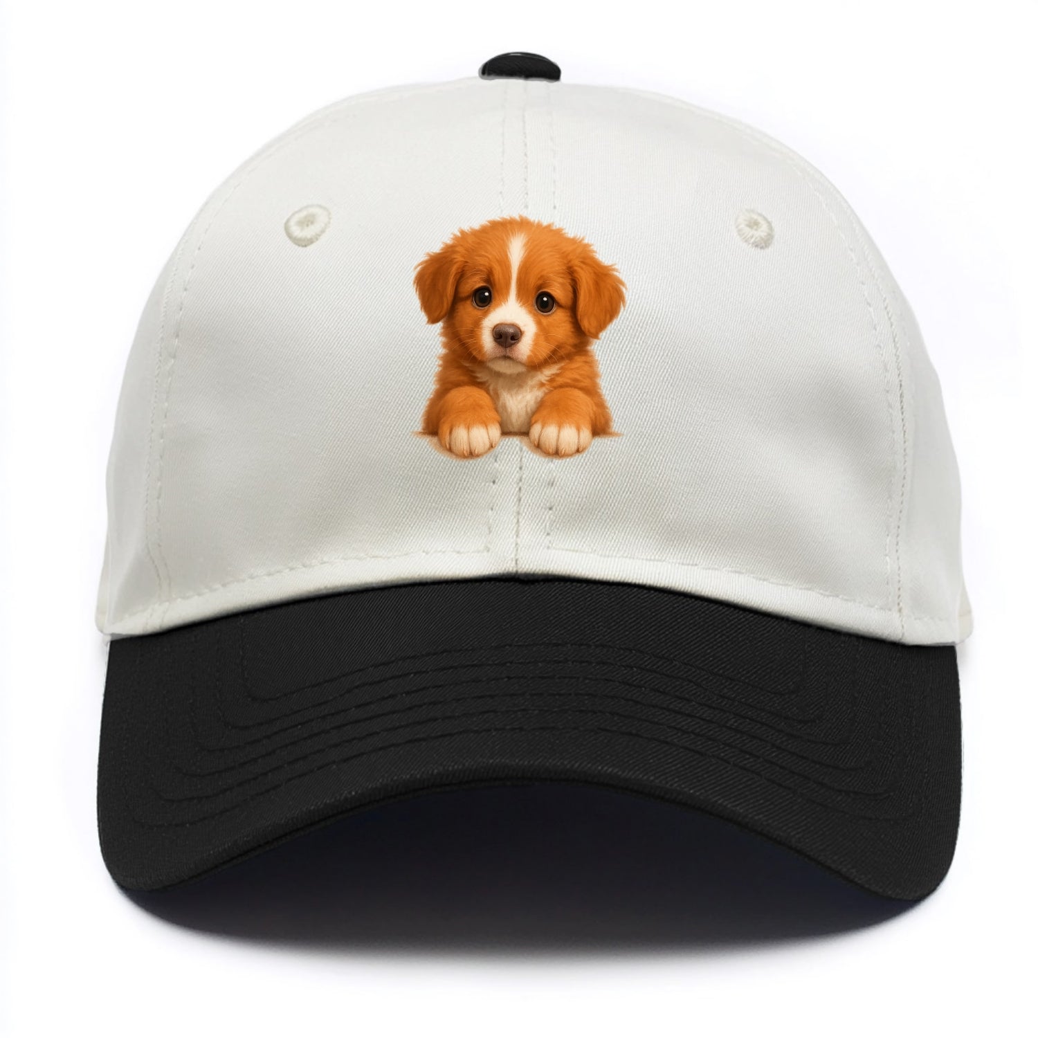Nova Scotia Duck Tolling Retriever  - Two Tone Cap - Black