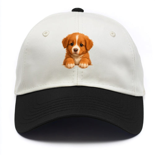 Nova Scotia Duck Tolling Retriever  - Two Tone Cap
