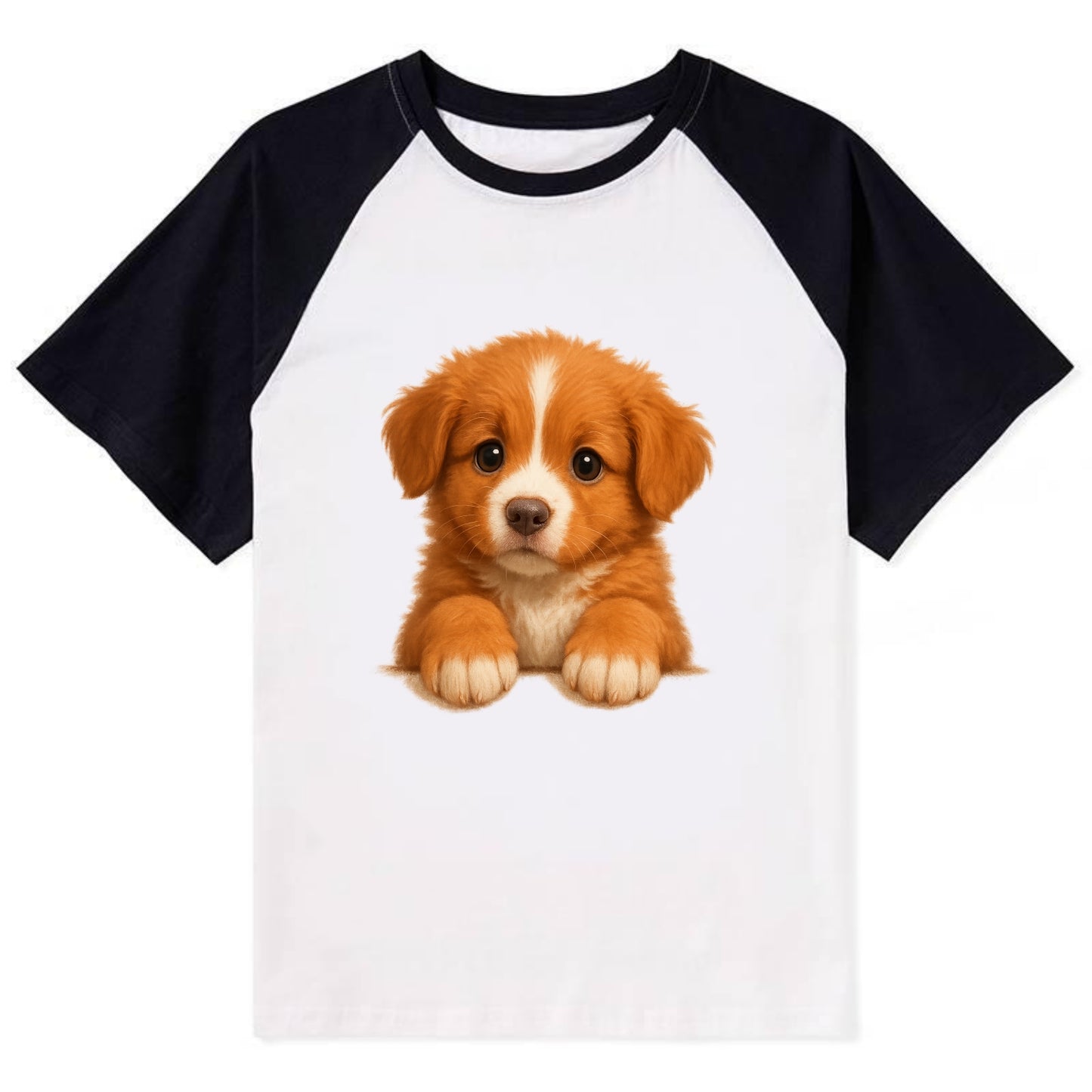 Nova Scotia Duck Tolling Retriever  - Co - Contrast Raglan T-shirt - Black