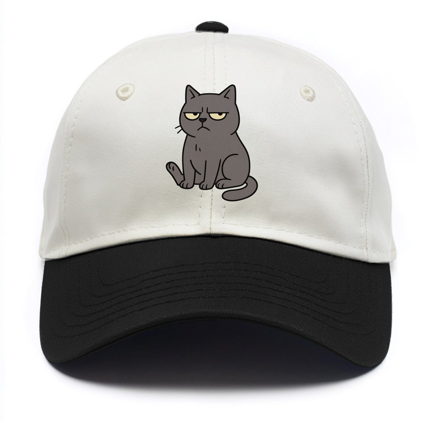 The Cat Judging Silently - Two Tone Cap - Black