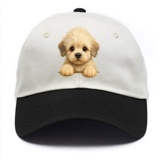 Dandie Dinmont Terrier  - Two Tone Cap - Black