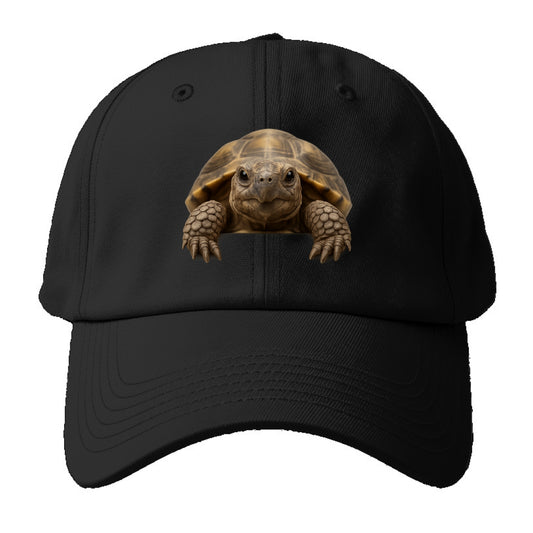 Tortoise  - Baseball Cap For Big Heads - Black