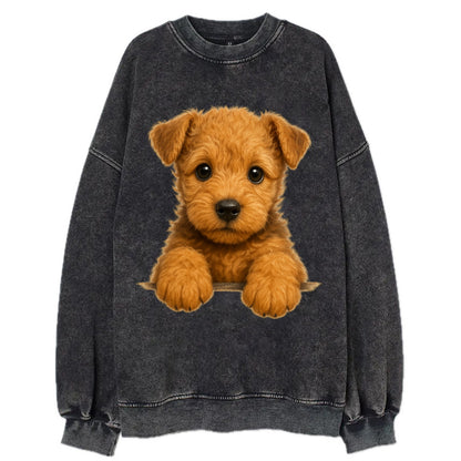 Lakeland Terrier  - Vintage Sweatshirt - Black