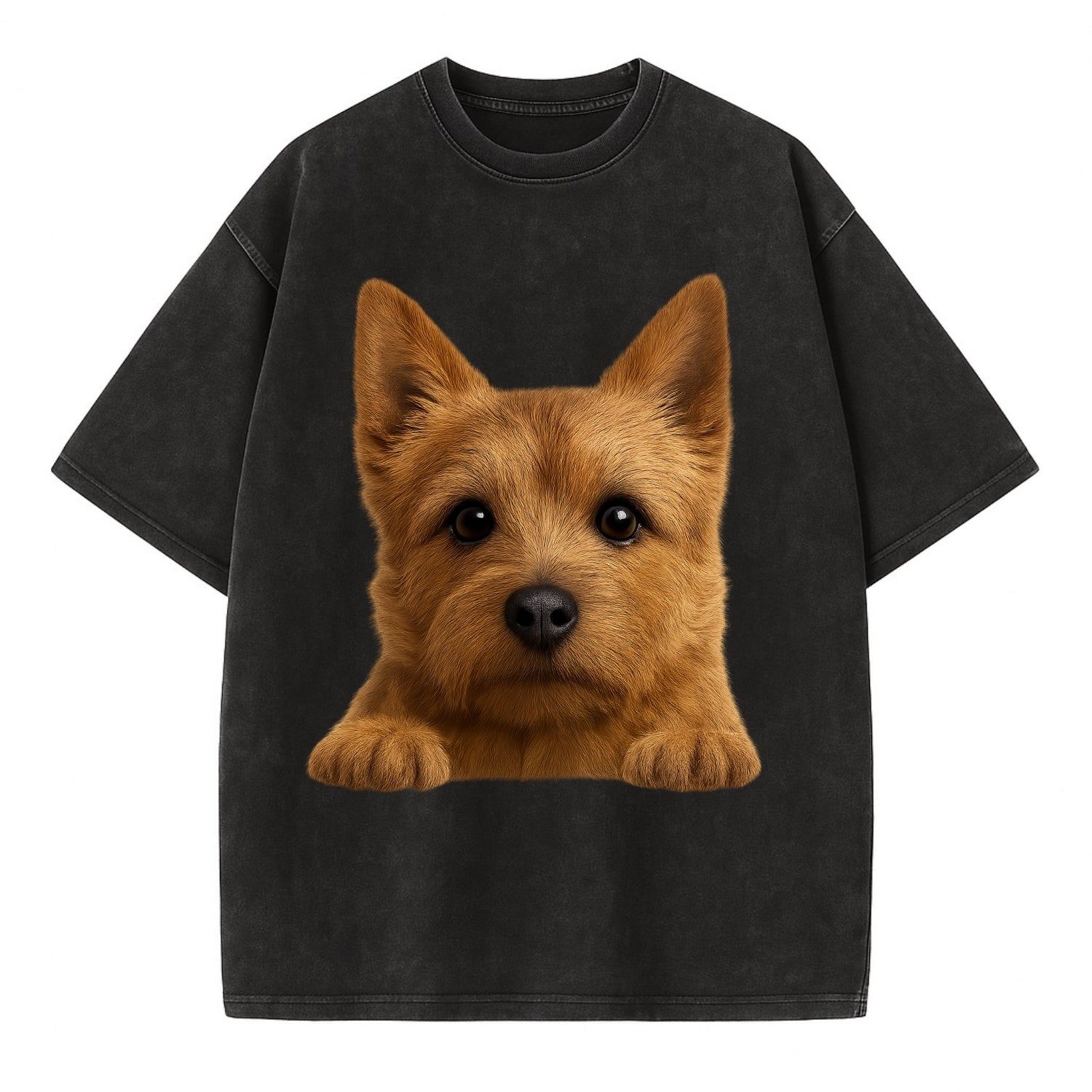Norwich Terrier  - Vintage T-shirt - Black