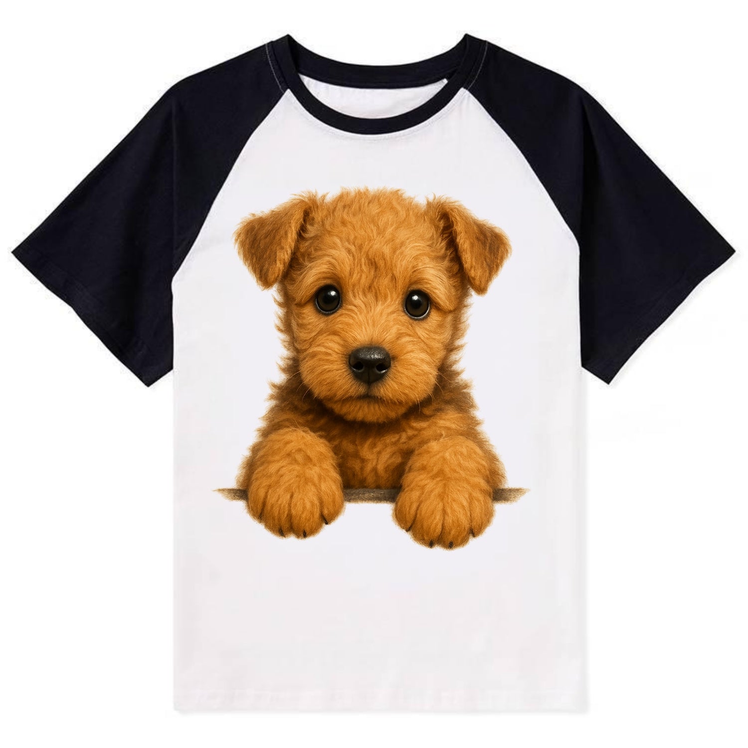 Lakeland Terrier  - Contrast Raglan T-shirt - Black