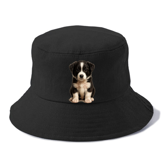 Baby Border Collie Puppy - black and white, intense smart eyes, athletic build, - Bucket Hat - Black