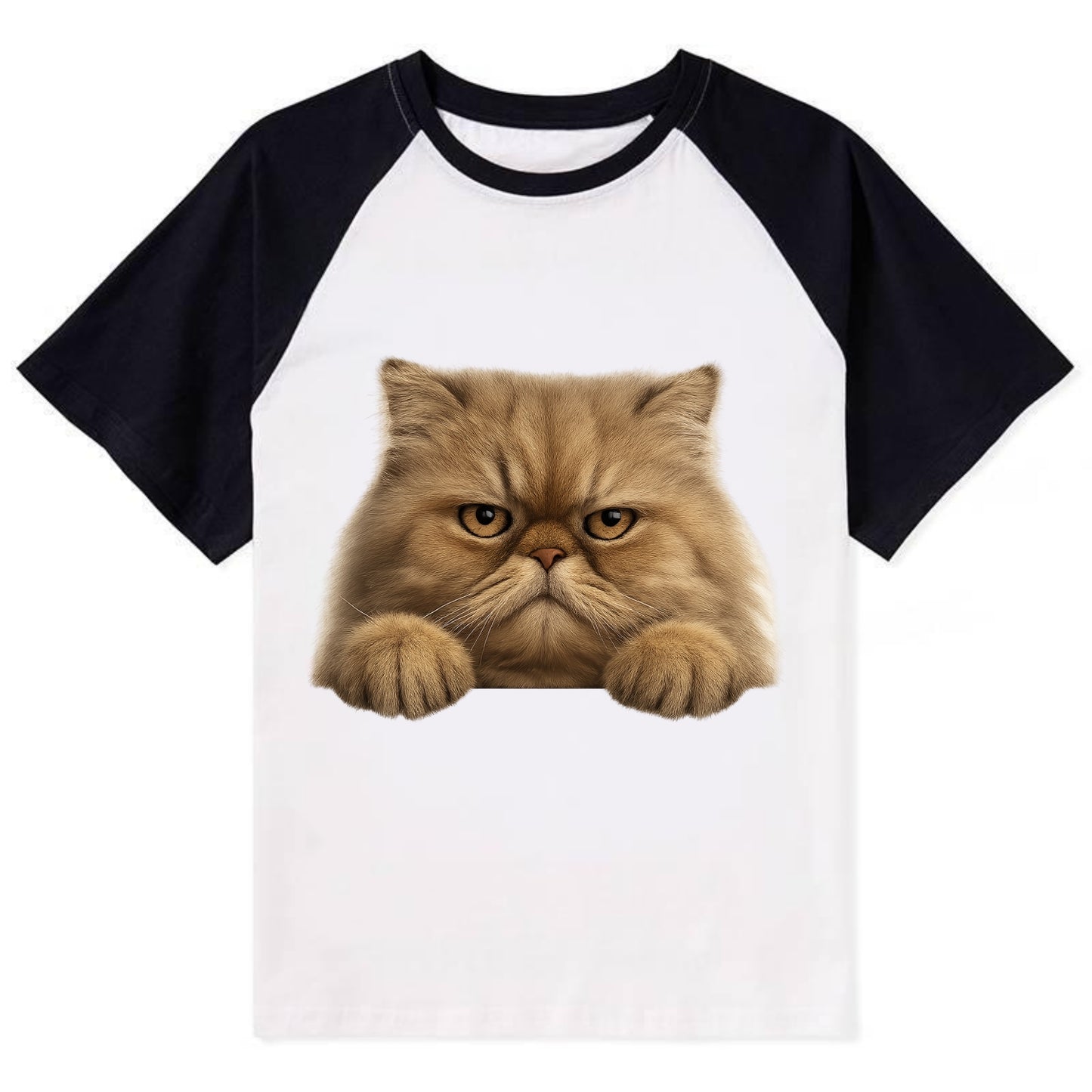 Persian Cat  - Contrast Raglan T-shirt - Black