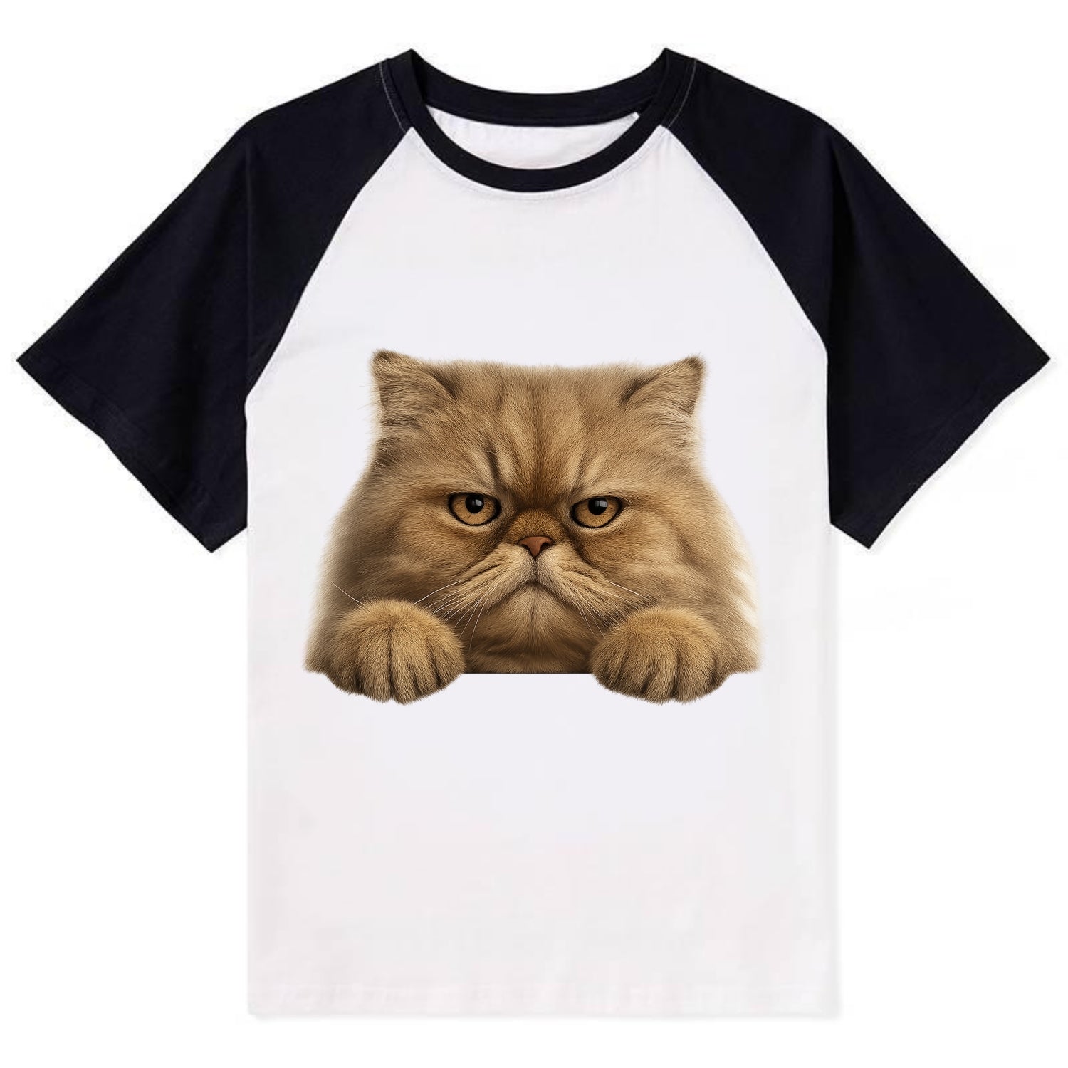 Persian Cat  - Contrast Raglan T-shirt - Black