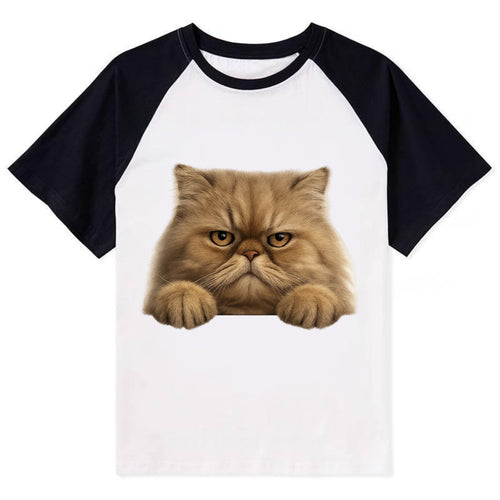 Persian Cat  - Contrast Raglan T-shirt