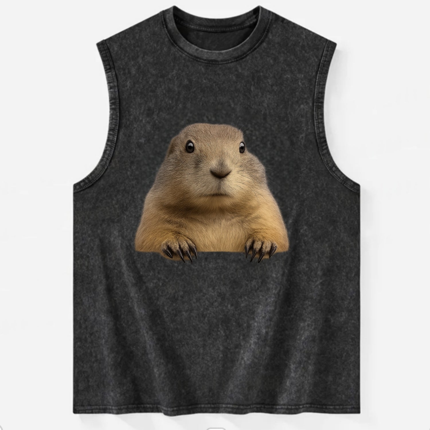 Prairie Dog  - Vintage Washed Tank - Black
