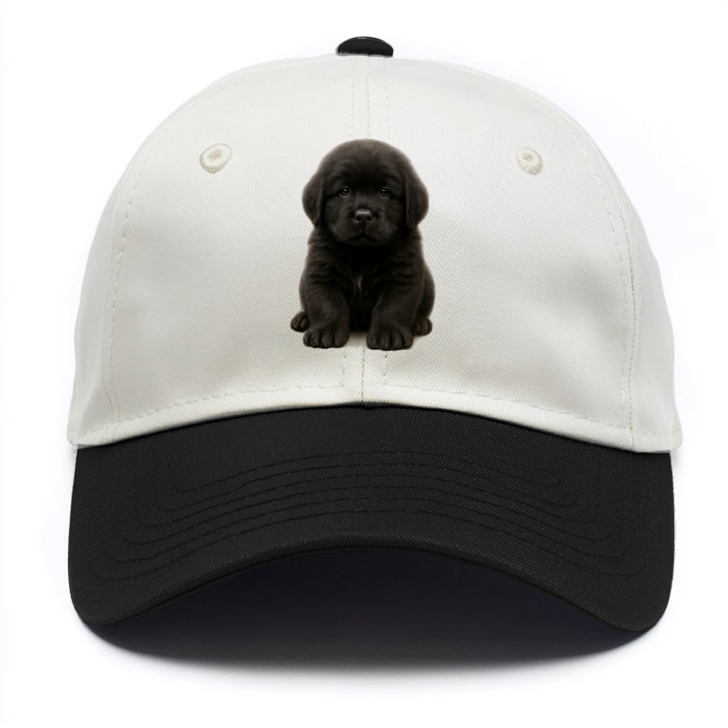 Baby Newfoundland Puppy - giant fluffy black, gentle eyes, webbed paws, - Two Tone Cap - Black