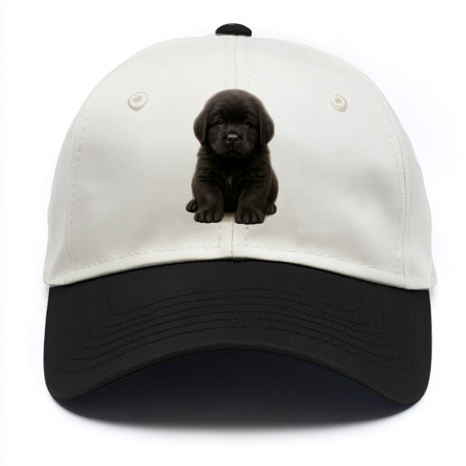 Baby Newfoundland Puppy - giant fluffy black, gentle eyes, webbed paws, - Two Tone Cap - Black