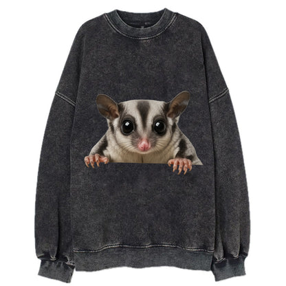 Sugar Glider  - Vintage Sweatshirt - Black