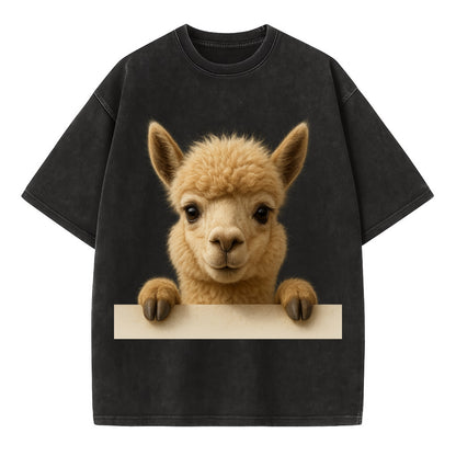 Alpaca  - Vintage T-shirt - Black
