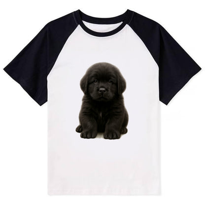 Baby Newfoundland Puppy - giant fluffy black, gentle eyes, webbed paws, - Contrast Raglan T-shirt - Black