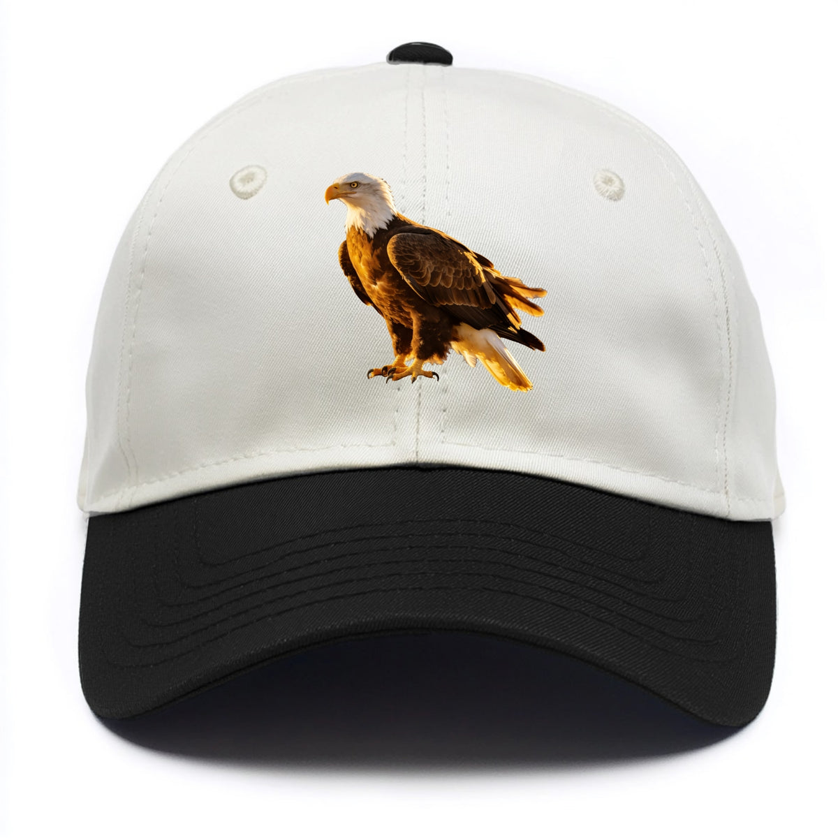 Eagle - Two Tone Cap - Black