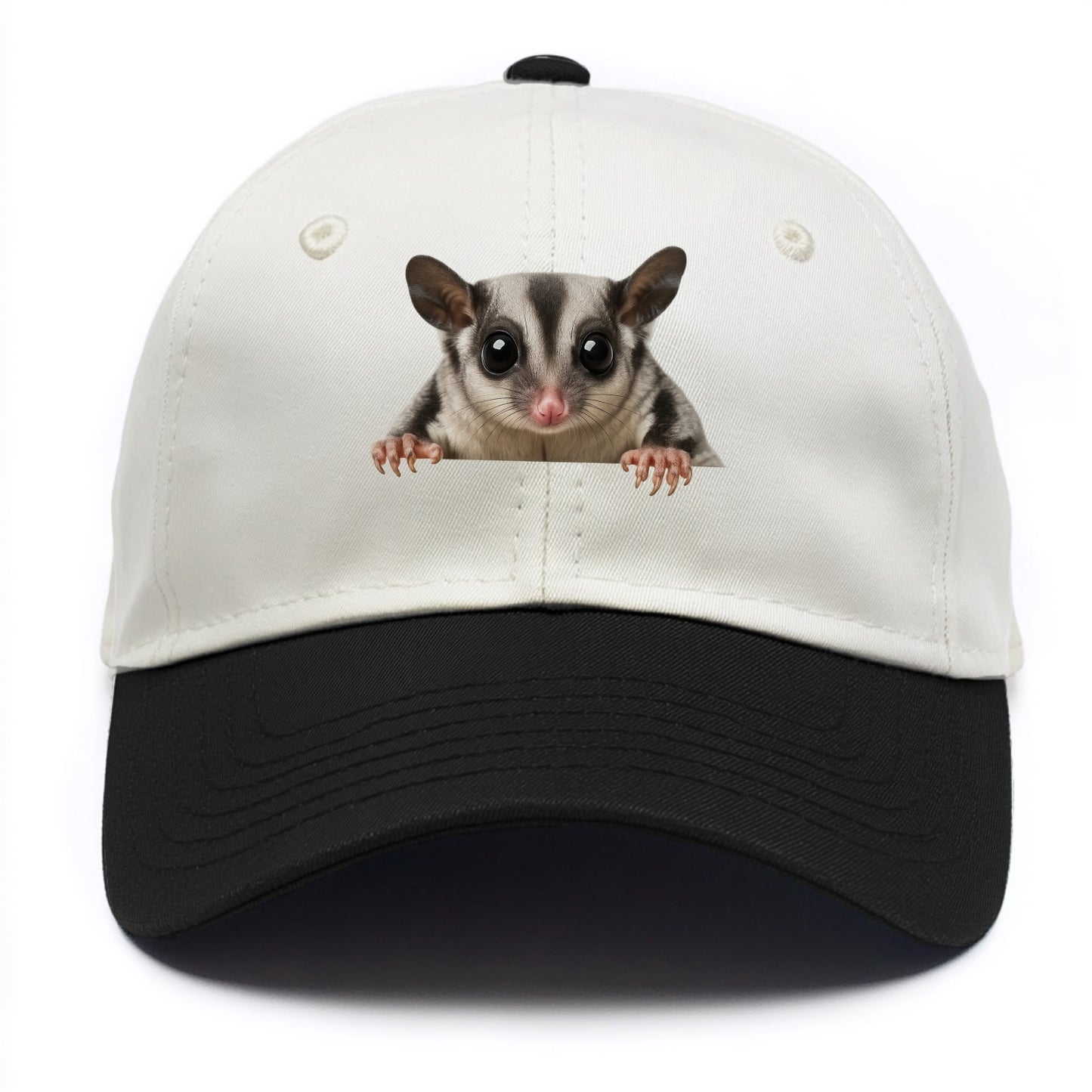 Sugar Glider  - Two Tone Cap - Black
