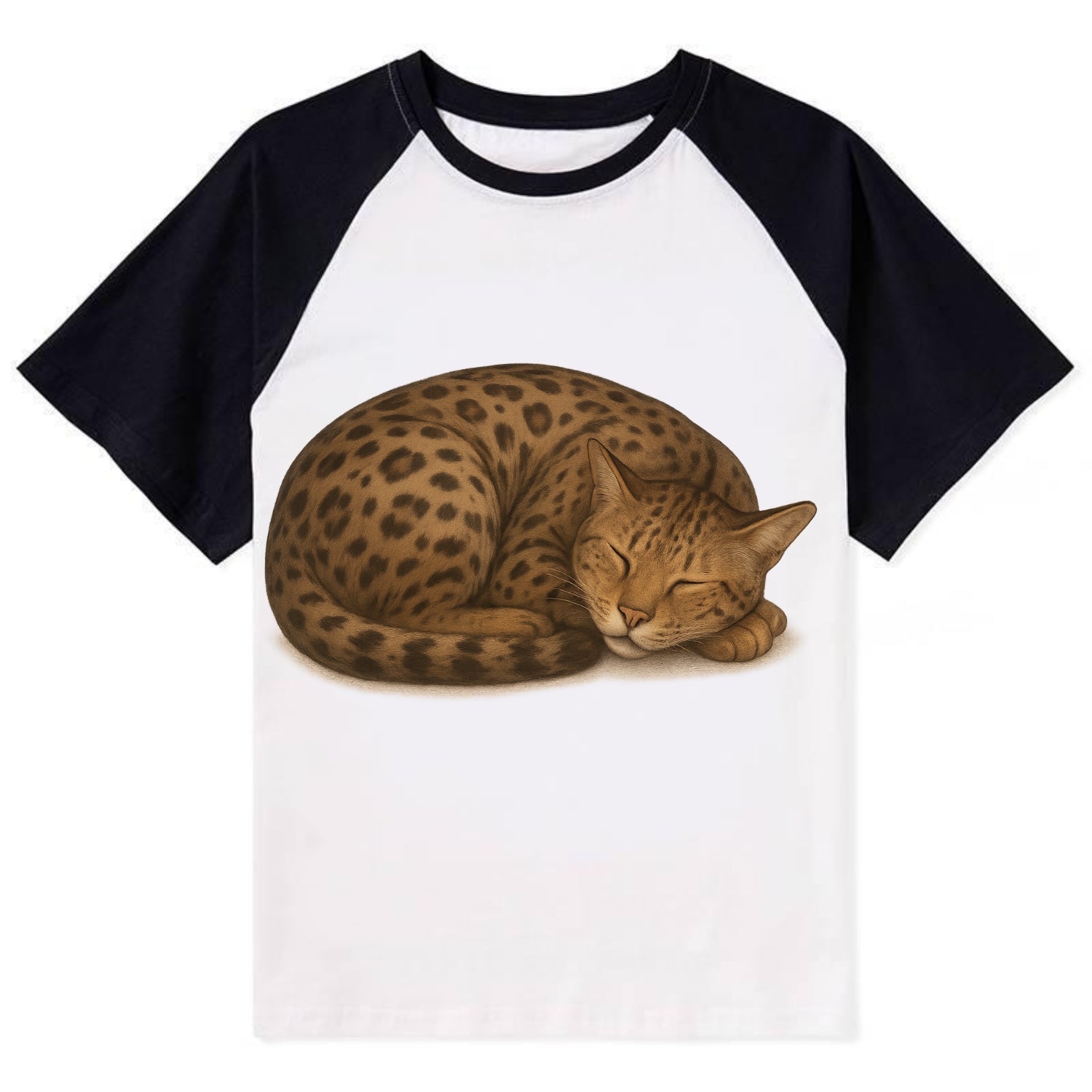 Ashera  - Contrast Raglan T-shirt - Black