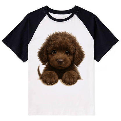 Irish Water Spaniel  - Contrast Raglan T-shirt - Black