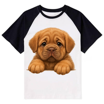Neapolitan Mastiff  - Contrast Raglan T-shirt - Black