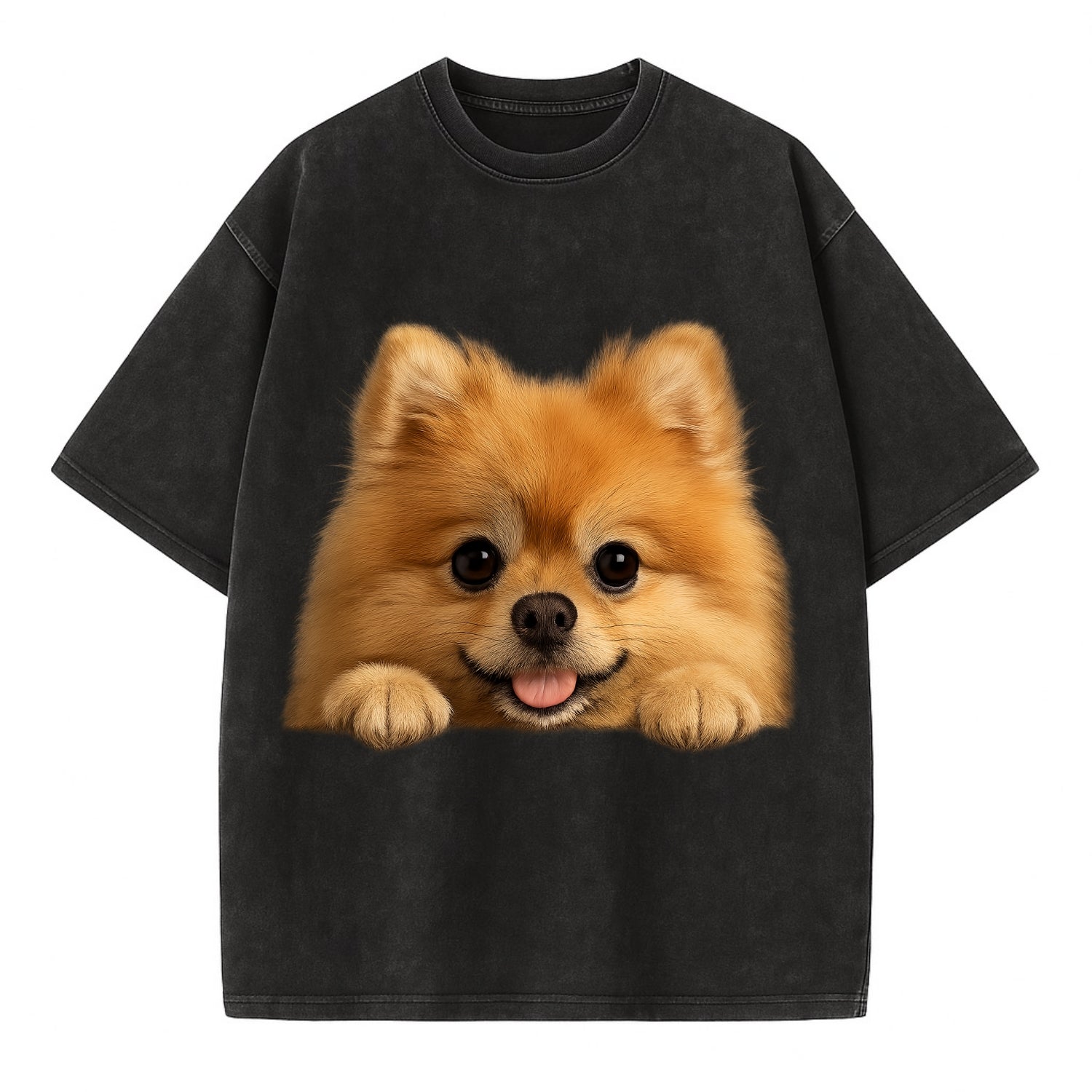 Pomeranian  - Vintage T-shirt - Black