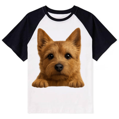 Norwich Terrier  - Contrast Raglan T-shirt - Black