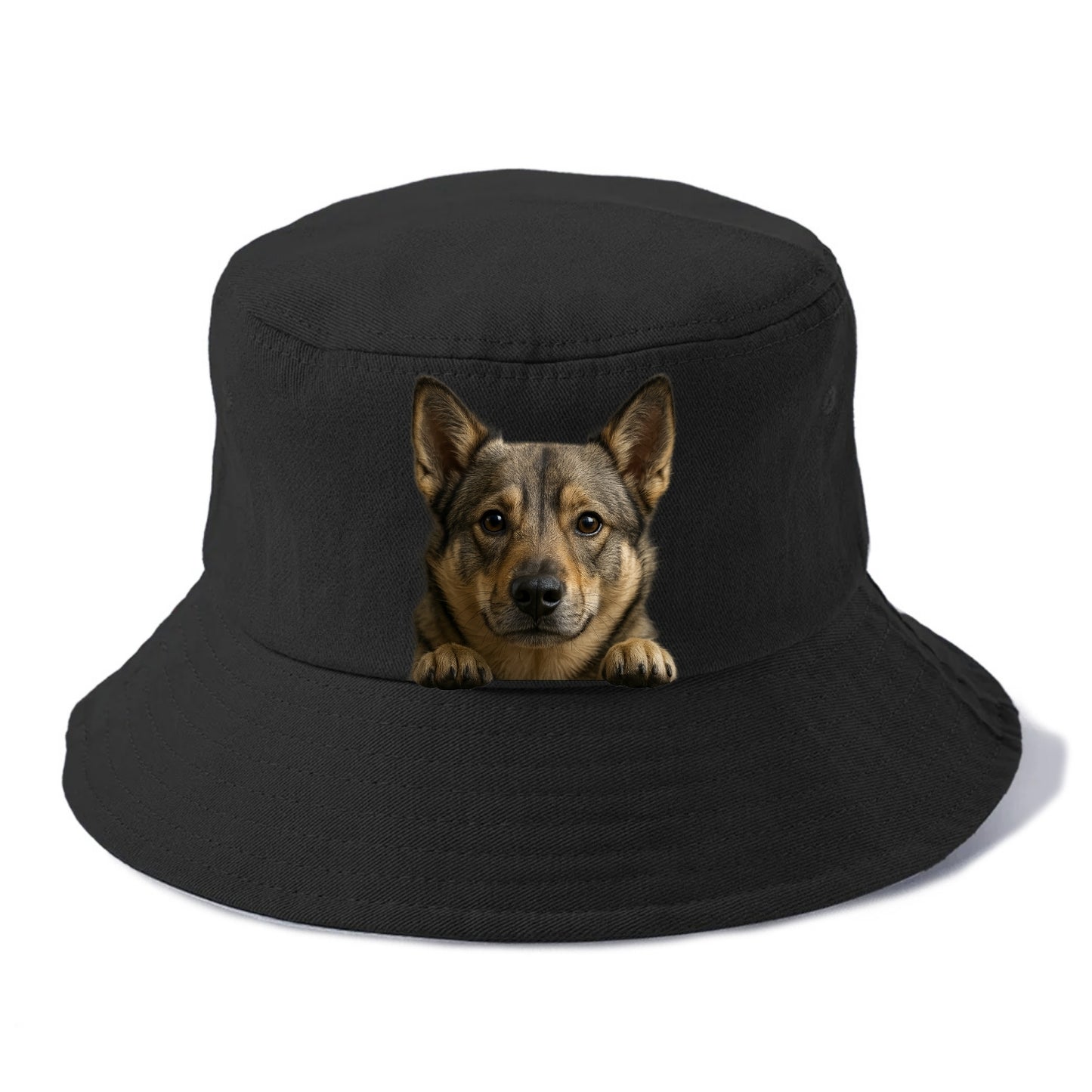 Swedish Vallhund  - Bucket Hat - Black