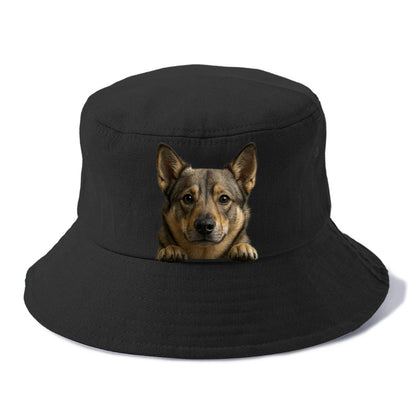 Swedish Vallhund  - Bucket Hat - Black