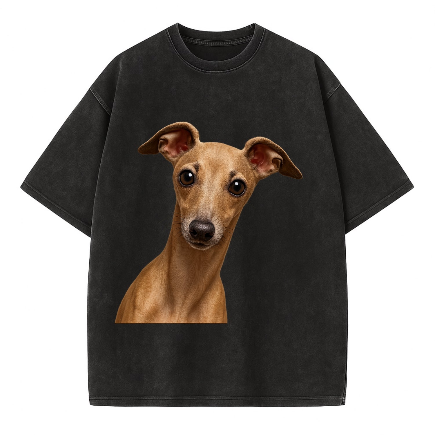 Italian Greyhound  - Vintage T-shirt - Black