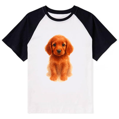 Baby Irish Setter Puppy - mahogany red coat, feathered ears, friendly - Contrast Raglan T-shirt - Black