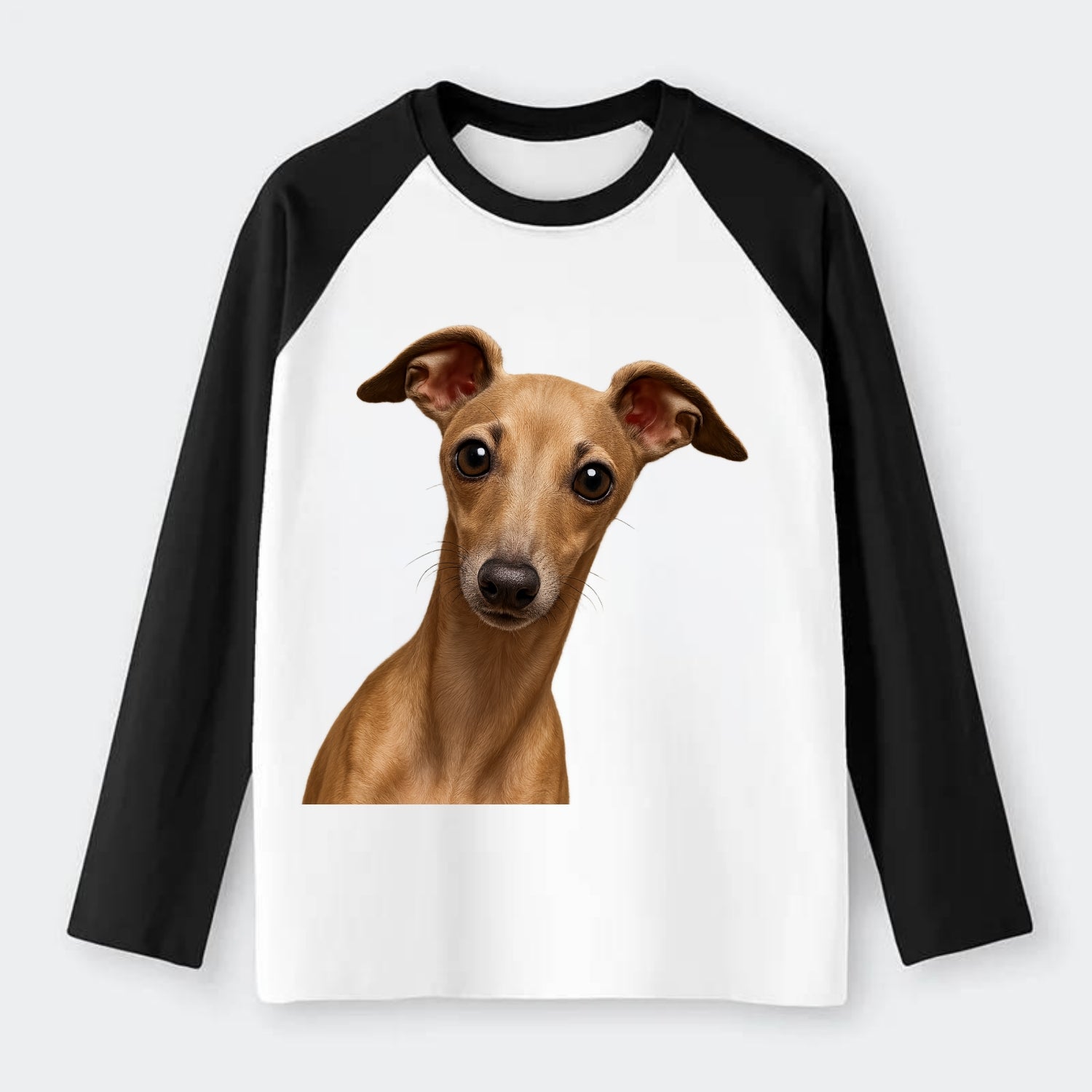 Italian Greyhound  - Raglan Long Sleeve T-Shirt - Black