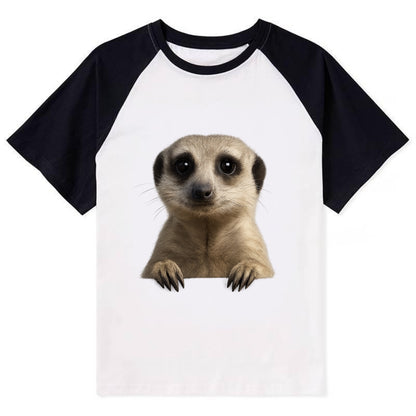 Meerkat  - Contrast Raglan T-shirt - Black