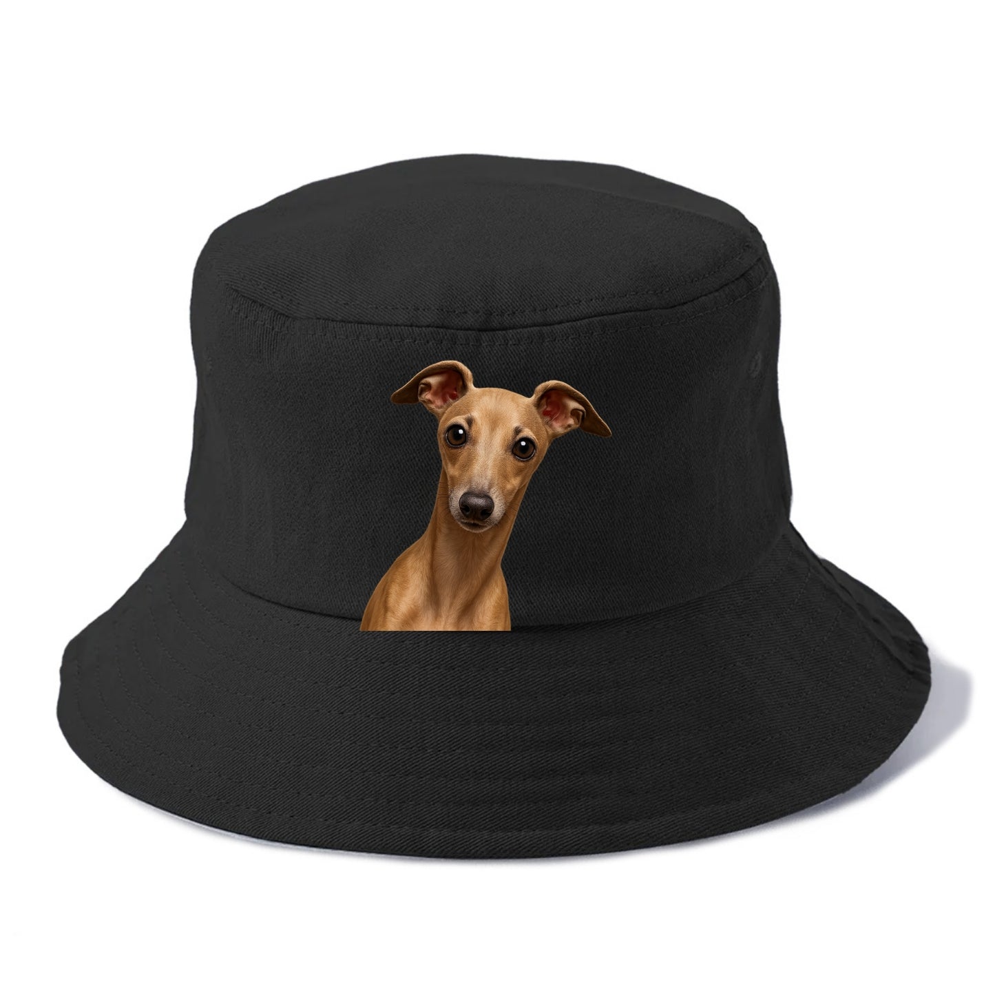 Italian Greyhound  - Bucket Hat - Black