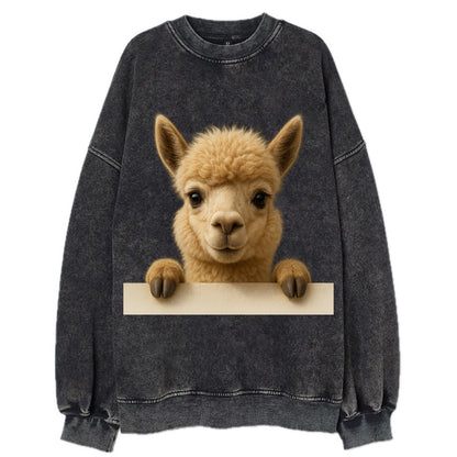 Alpaca  - Vintage Sweatshirt - Black