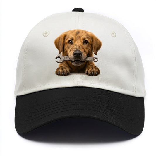 Mechanic Dog  - Two Tone Cap - Black