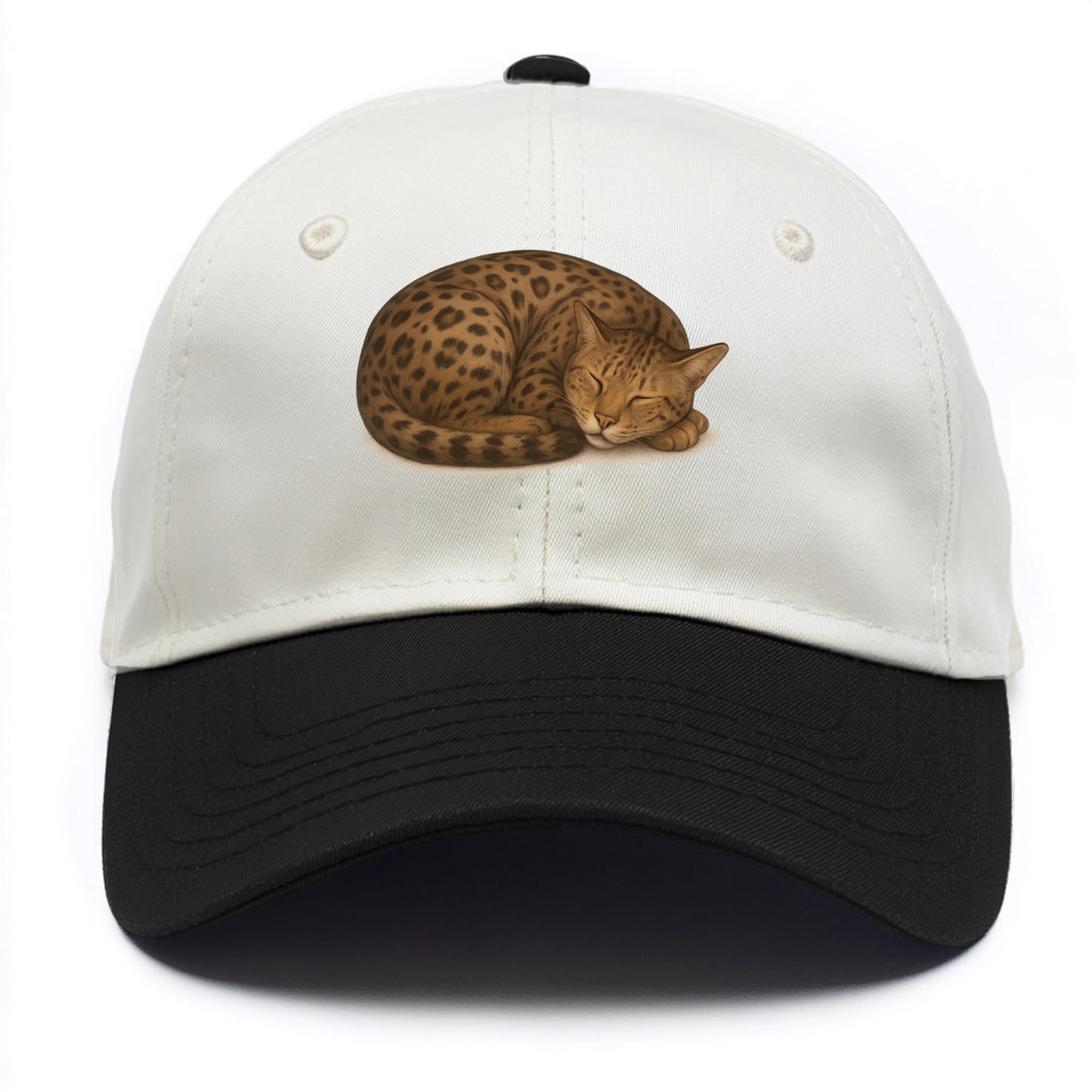 Ashera  - Two Tone Cap - Black