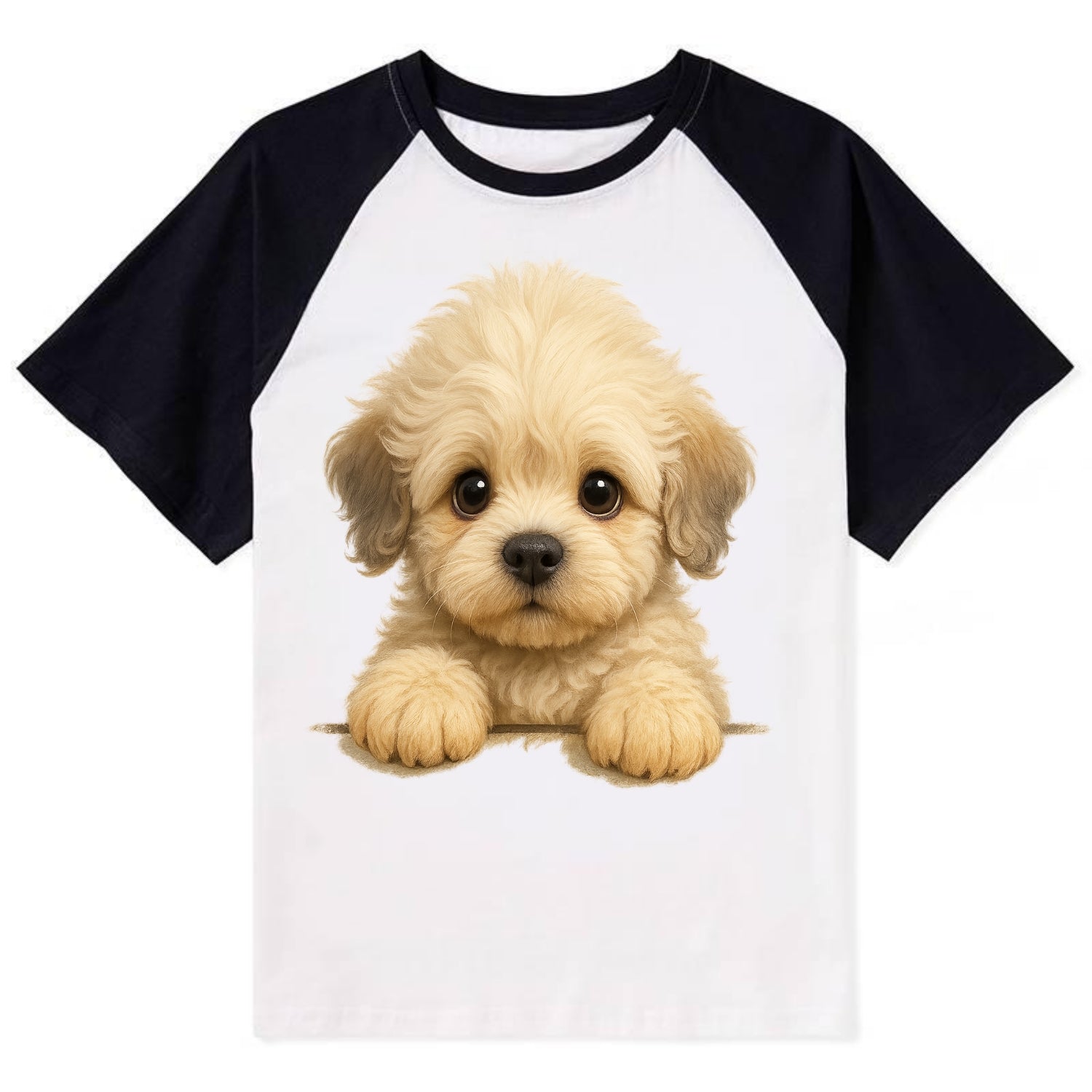 Dandie Dinmont Terrier  - Contrast Raglan T-shirt - Black