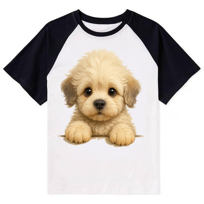 Dandie Dinmont Terrier  - Contrast Raglan T-shirt - Black