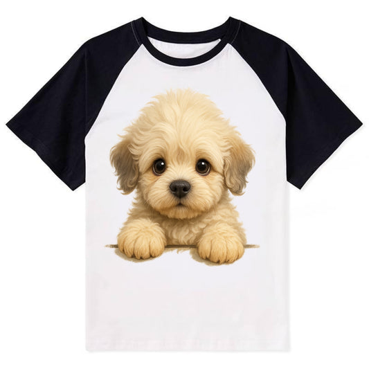 Dandie Dinmont Terrier  - Contrast Raglan T-shirt - Black
