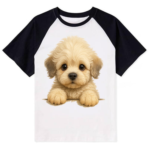 Dandie Dinmont Terrier  - Contrast Raglan T-shirt