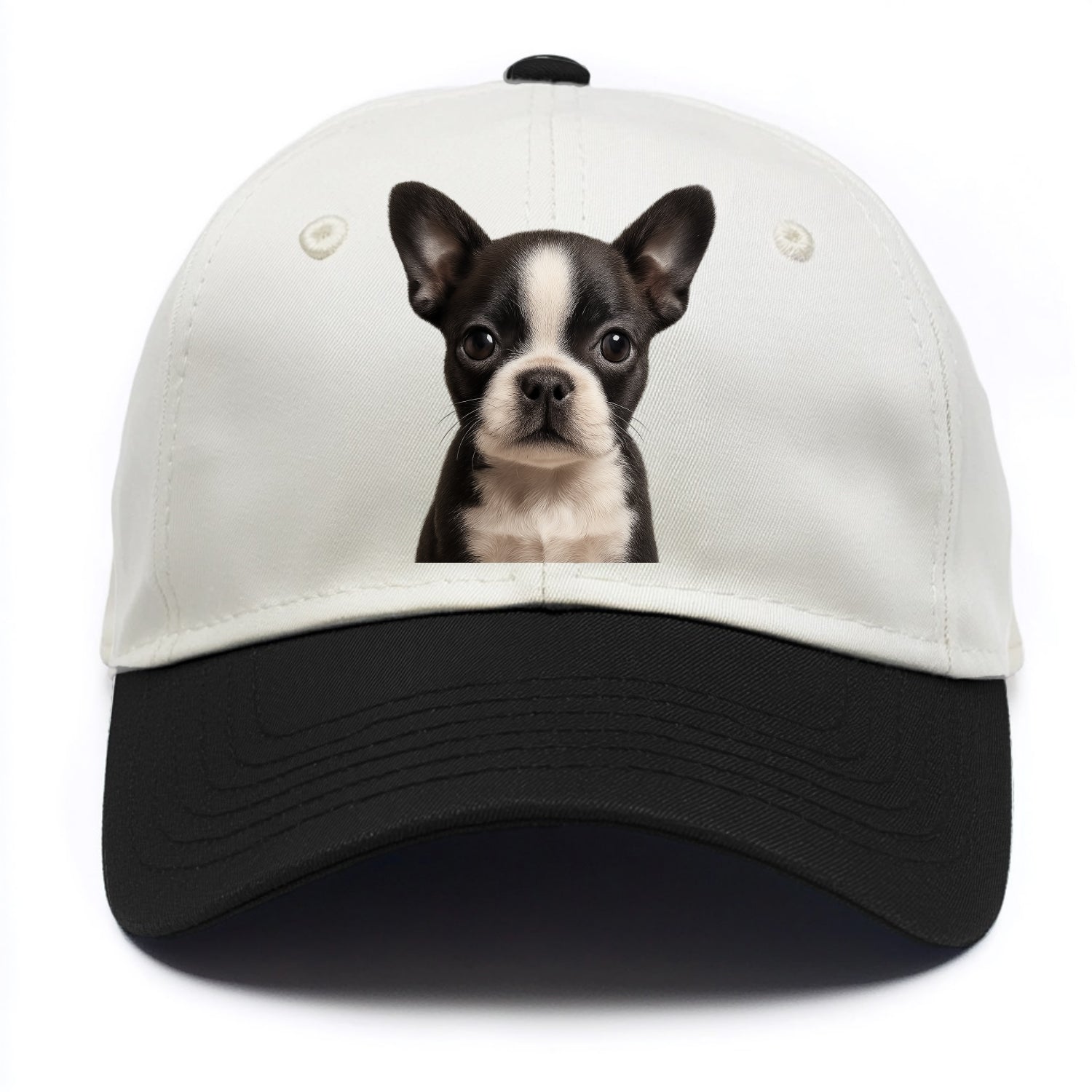 Baby Boston Terrier Puppy - tuxedo markings, big round eyes, bat ears, front-facing, - Two Tone Cap - Black