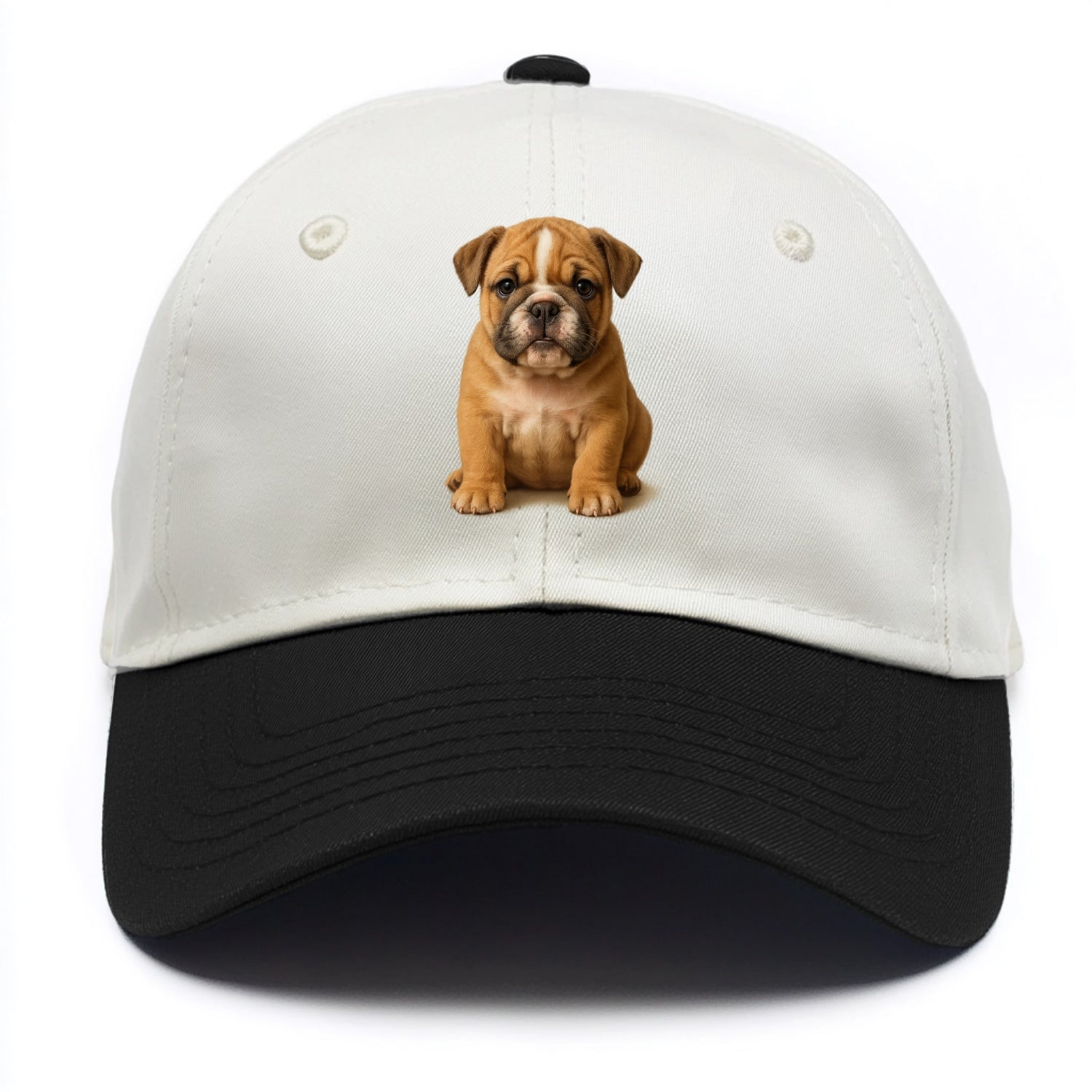 Baby Bulldog Puppy - wrinkly face, underbite, stocky body, gentle eyes, - Two Tone Cap - Black