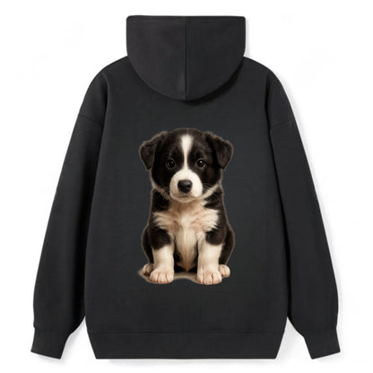 Baby Border Collie Puppy - black and white, intense smart eyes, athletic - Classic Pullover Hoodie - Black